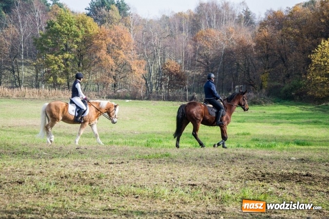 Zdjęcie w galerii na portalu naszwodzislaw.com: Święto jeźdźc&oacute;w - hubertus w Godowie. FOTORELACJA wiadomości z regionu