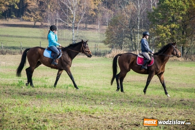 Zdjęcie w galerii na portalu naszwodzislaw.com: Święto jeźdźc&oacute;w - hubertus w Godowie. FOTORELACJA wiadomości z regionu