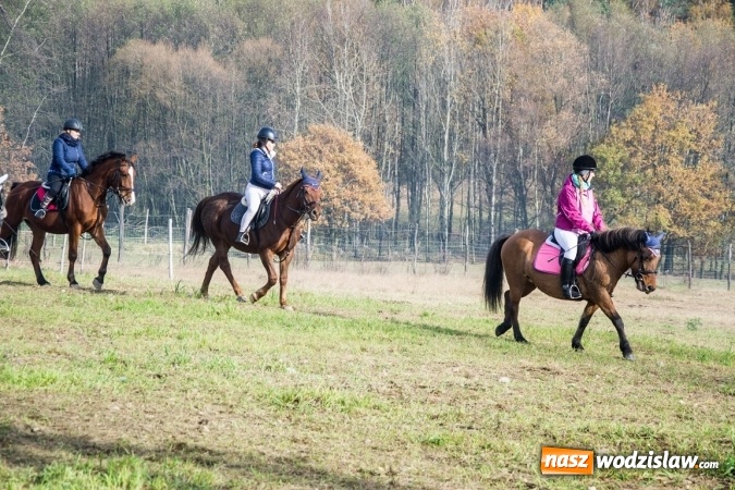 Zdjęcie w galerii na portalu naszwodzislaw.com: Święto jeźdźc&oacute;w - hubertus w Godowie. FOTORELACJA wiadomości z regionu
