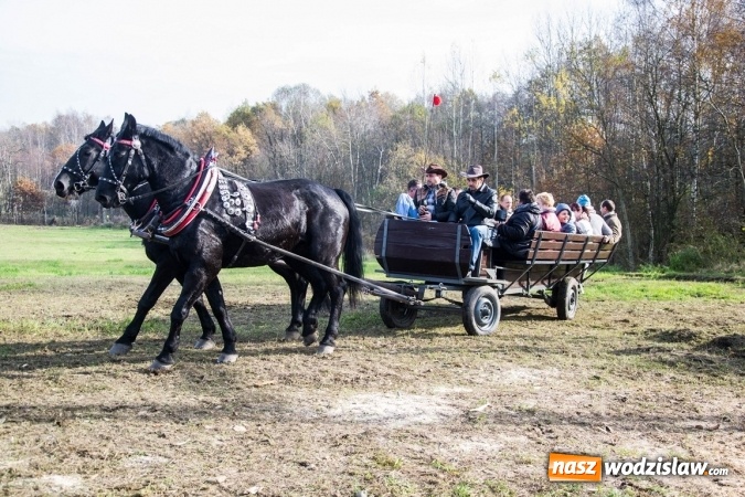 Zdjęcie w galerii na portalu naszwodzislaw.com: Święto jeźdźc&oacute;w - hubertus w Godowie. FOTORELACJA wiadomości z regionu