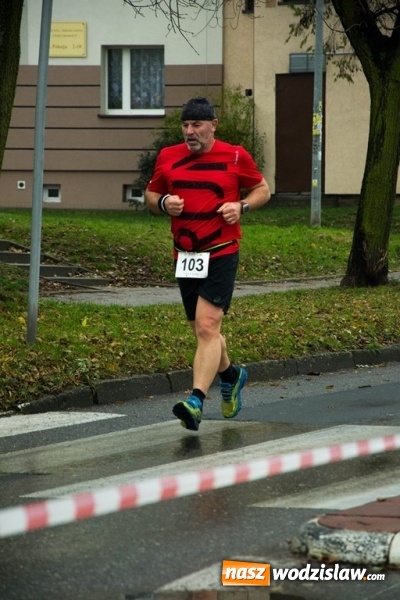 Zdjęcie w galerii na portalu naszwodzislaw.com: Jubileuszowy Półmaraton Wodzisławski. Na starcie ponad 250 zawodników wiadomości z regionu
