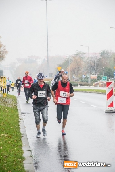 Zdjęcie w galerii na portalu naszwodzislaw.com: Jubileuszowy Półmaraton Wodzisławski. Na starcie ponad 250 zawodników wiadomości z regionu