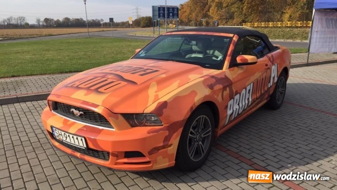 Zdjęcie w galerii na portalu naszwodzislaw.com: ProfiAuto Mroauto PitStop - blisko 100 samochodów darmowo sprawdzonych wiadomości z regionu