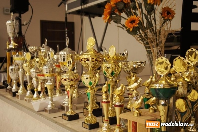 Zdjęcie w galerii na portalu naszwodzislaw.com: Hodowcy gołębi pocztowych z Oddziału w Mszanie podsumowali sezon lotowy  wiadomości z regionu