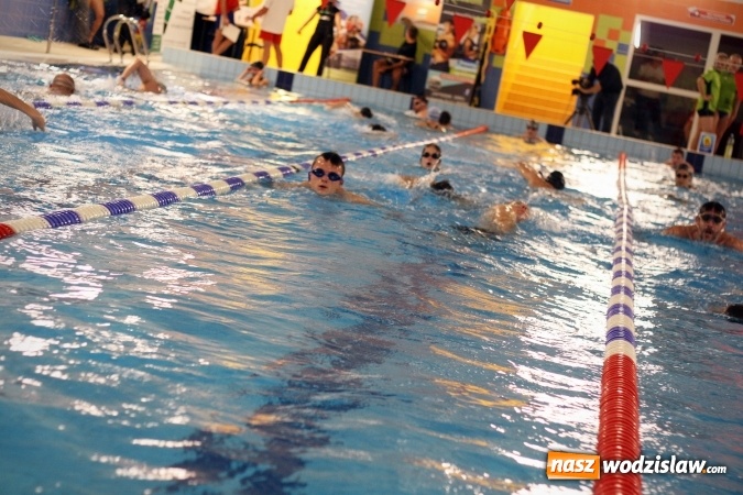 Zdjęcie w galerii na portalu naszwodzislaw.com: 24-godzinny Maraton Pływacki zakończony sukcesem. Ponad 400 os&oacute;b wzięło udział w akcji wiadomości z regionu
