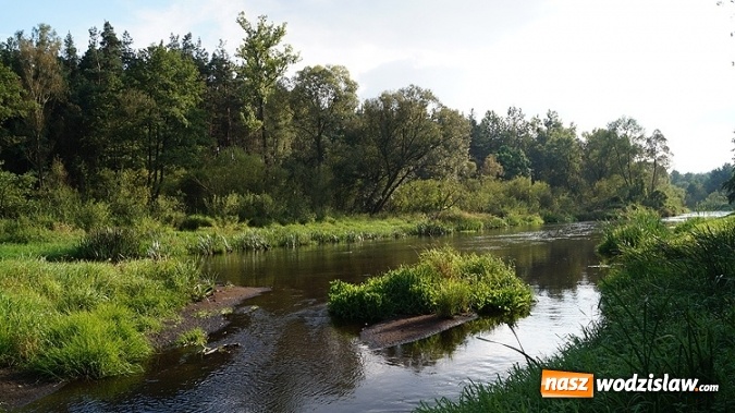 Zdjęcie w galerii na portalu naszwodzislaw.com: Czysta woda = Piękna wieś. Znamy zwycięzców konkursu Zadbajmy o wodę na wsi wiadomości z regionu