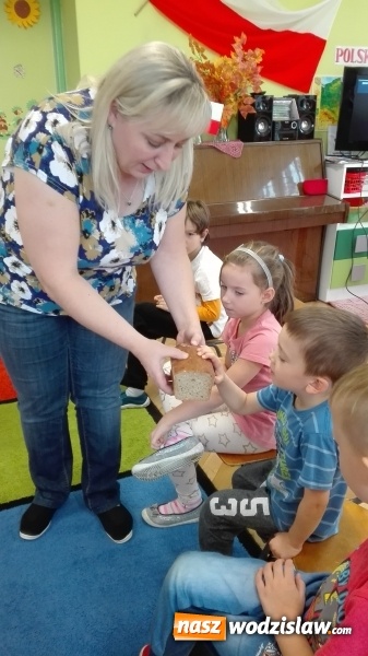 Zdjęcie w galerii na portalu naszwodzislaw.com: Od ziarenka do bochenka. Kolejne warsztaty w wodzisławskim przedszkolu nr 6 wiadomości z regionu
