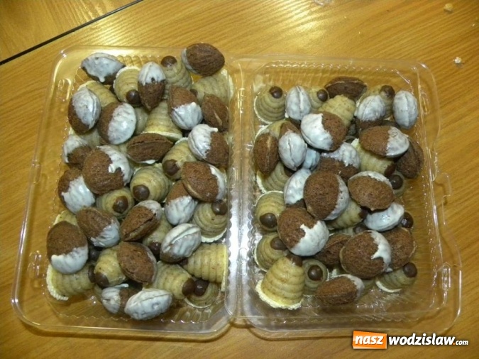 Zdjęcie w galerii na portalu naszwodzislaw.com: Spotkanie z siostrą Anastazją w wodzisławskiej bibliotece  wiadomości z regionu