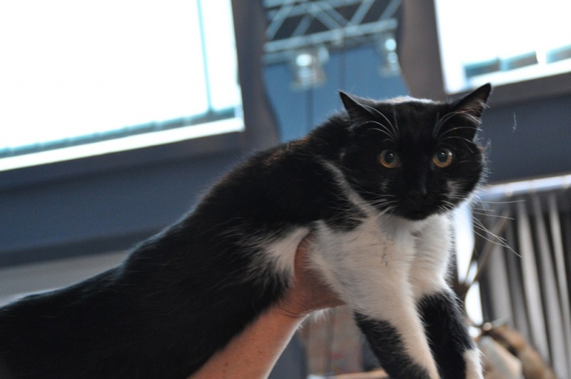 Zdjęcie w galerii na portalu naszwodzislaw.com: ArysKOTraci w WCK wiadomości z regionu