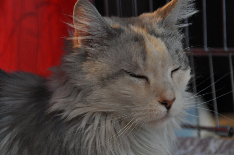 Zdjęcie w galerii na portalu naszwodzislaw.com: ArysKOTraci w WCK wiadomości z regionu