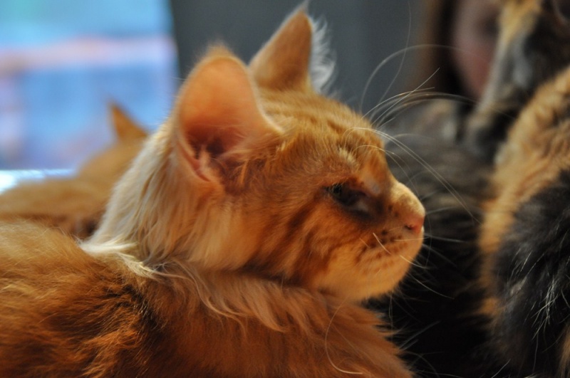 Zdjęcie w galerii na portalu naszwodzislaw.com: ArysKOTraci w WCK wiadomości z regionu