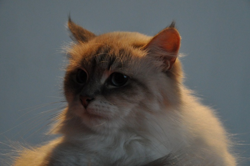 Zdjęcie w galerii na portalu naszwodzislaw.com: ArysKOTraci w WCK wiadomości z regionu