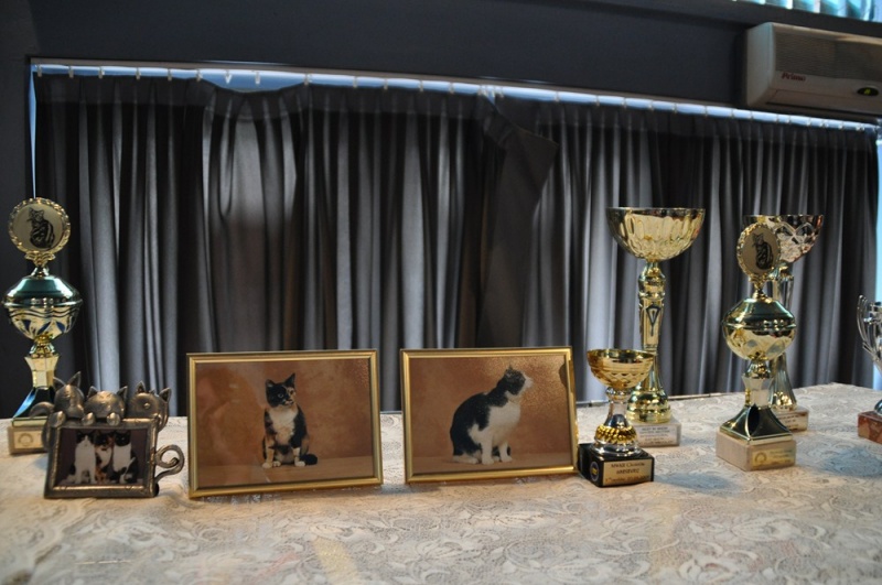 Zdjęcie w galerii na portalu naszwodzislaw.com: ArysKOTraci w WCK wiadomości z regionu