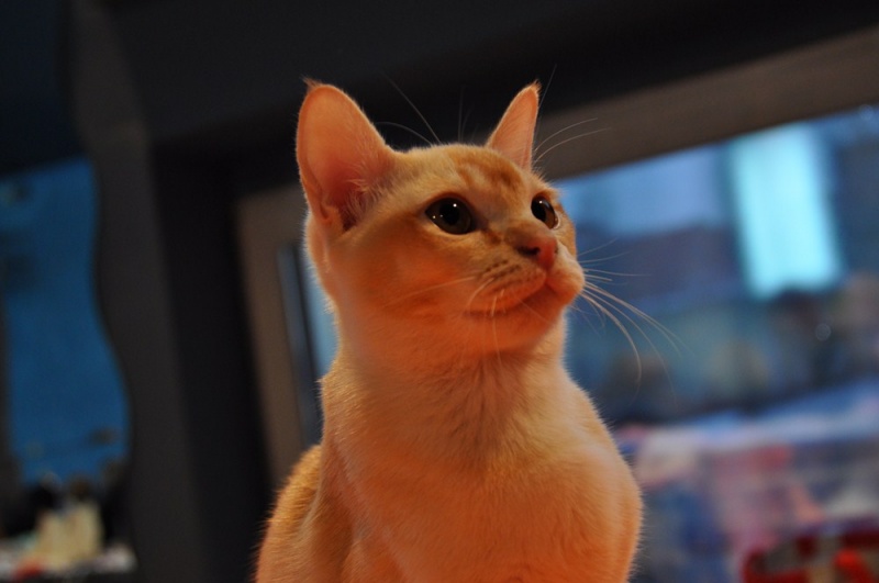 Zdjęcie w galerii na portalu naszwodzislaw.com: ArysKOTraci w WCK wiadomości z regionu