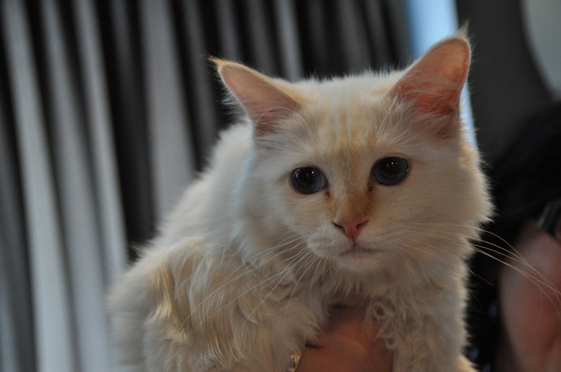 Zdjęcie w galerii na portalu naszwodzislaw.com: ArysKOTraci w WCK wiadomości z regionu