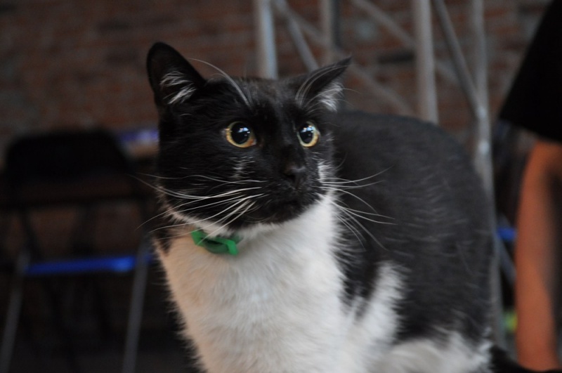 Zdjęcie w galerii na portalu naszwodzislaw.com: ArysKOTraci w WCK wiadomości z regionu