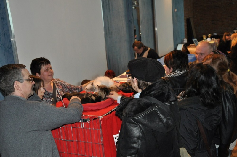 Zdjęcie w galerii na portalu naszwodzislaw.com: ArysKOTraci w WCK wiadomości z regionu