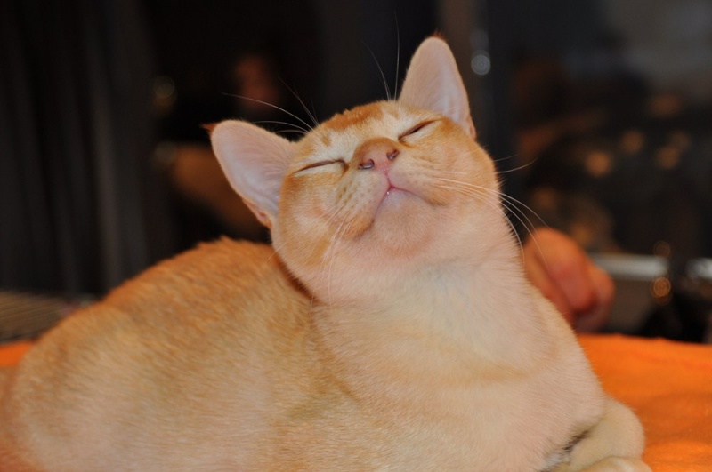 Zdjęcie w galerii na portalu naszwodzislaw.com: ArysKOTraci w WCK wiadomości z regionu