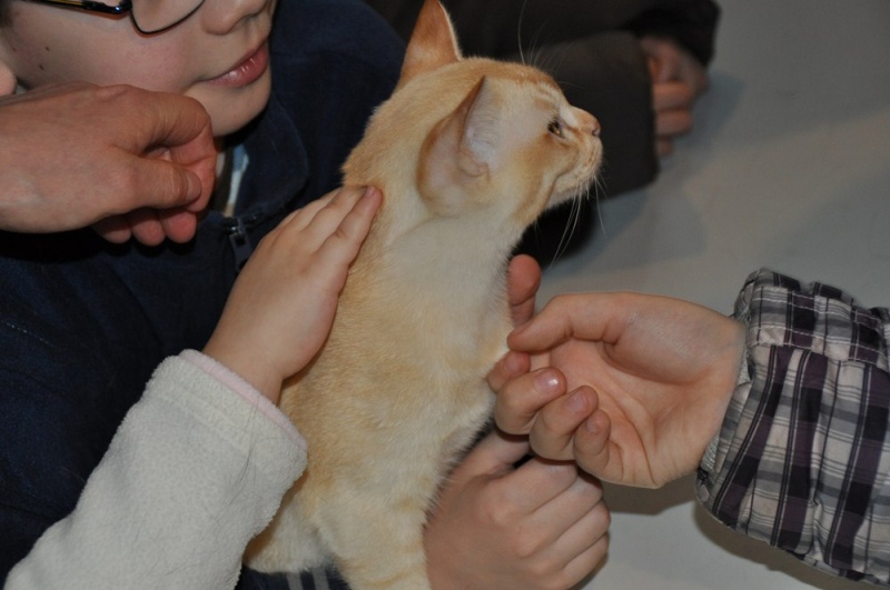 Zdjęcie w galerii na portalu naszwodzislaw.com: ArysKOTraci w WCK wiadomości z regionu