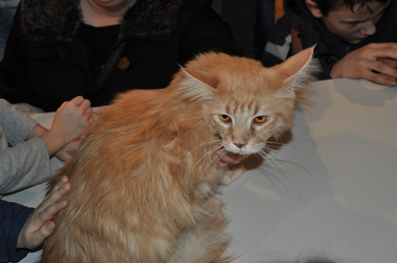 Zdjęcie w galerii na portalu naszwodzislaw.com: ArysKOTraci w WCK wiadomości z regionu