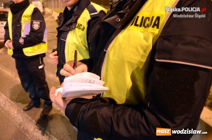 Zdjęcie w galerii na portalu naszwodzislaw.com: Polscy i czescy policjanci we wspólnej akcji  wiadomości z regionu