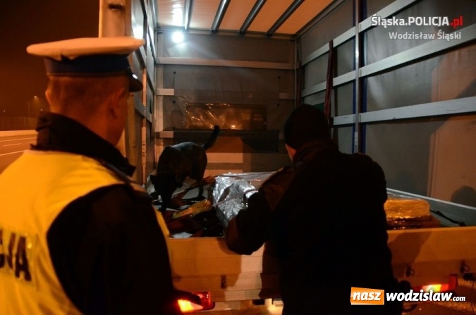 Zdjęcie w galerii na portalu naszwodzislaw.com: Polscy i czescy policjanci we wspólnej akcji  wiadomości z regionu