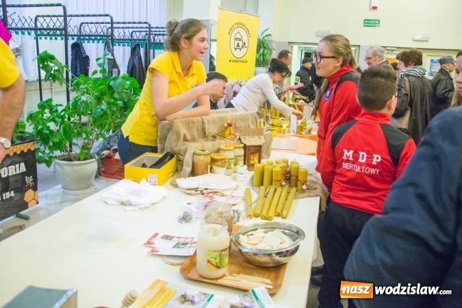 Zdjęcie w galerii na portalu naszwodzislaw.com: Tłumy na drugiej edycji Jarmarku Pszczelego w Radlinie! wiadomości z regionu
