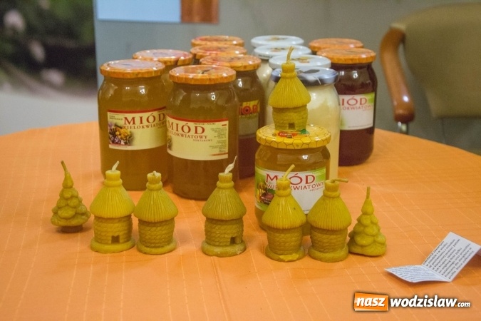 Zdjęcie w galerii na portalu naszwodzislaw.com: Tłumy na drugiej edycji Jarmarku Pszczelego w Radlinie! wiadomości z regionu