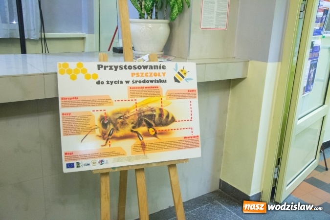 Zdjęcie w galerii na portalu naszwodzislaw.com: Tłumy na drugiej edycji Jarmarku Pszczelego w Radlinie! wiadomości z regionu