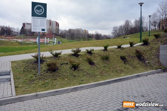 Zdjęcie w galerii na portalu naszwodzislaw.com:  Berberysy, jałowce i modrzewie. Nowe nasadzenia w Rodzinnym Parku Rozrywki  wiadomości z regionu