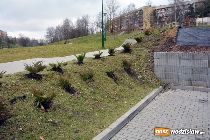 Zdjęcie w galerii na portalu naszwodzislaw.com:  Berberysy, jałowce i modrzewie. Nowe nasadzenia w Rodzinnym Parku Rozrywki  wiadomości z regionu