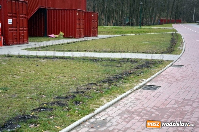 Zdjęcie w galerii na portalu naszwodzislaw.com:  Berberysy, jałowce i modrzewie. Nowe nasadzenia w Rodzinnym Parku Rozrywki  wiadomości z regionu