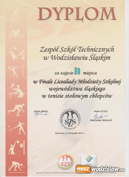 Zdjęcie w galerii na portalu naszwodzislaw.com: Uczniowie ZST w gronie najlepszych zawodników  wiadomości z regionu