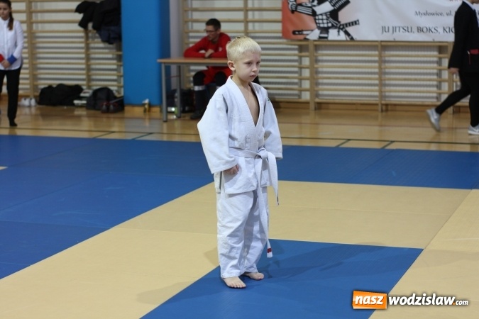 Zdjęcie w galerii na portalu naszwodzislaw.com: Dzieci z Octagon Team wracają z medalami  wiadomości z regionu