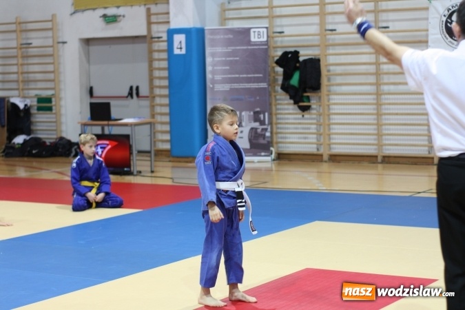 Zdjęcie w galerii na portalu naszwodzislaw.com: Dzieci z Octagon Team wracają z medalami  wiadomości z regionu