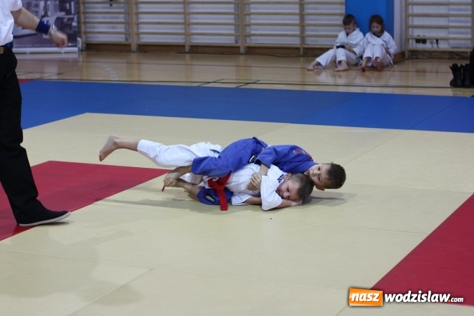 Zdjęcie w galerii na portalu naszwodzislaw.com: Dzieci z Octagon Team wracają z medalami  wiadomości z regionu