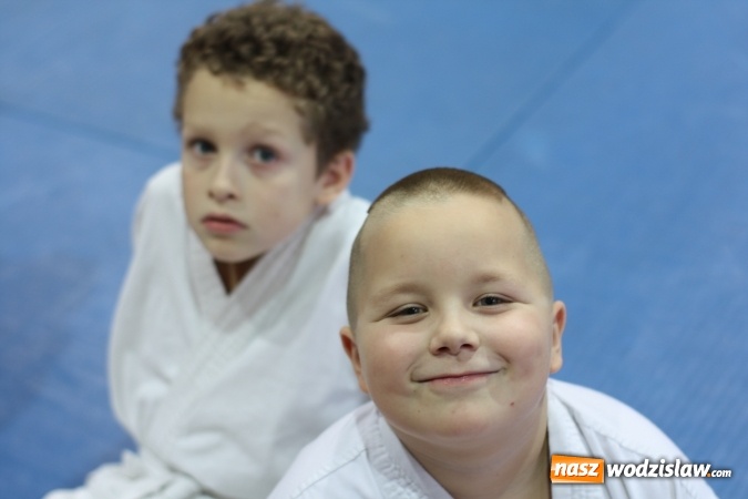 Zdjęcie w galerii na portalu naszwodzislaw.com: Dzieci z Octagon Team wracają z medalami  wiadomości z regionu