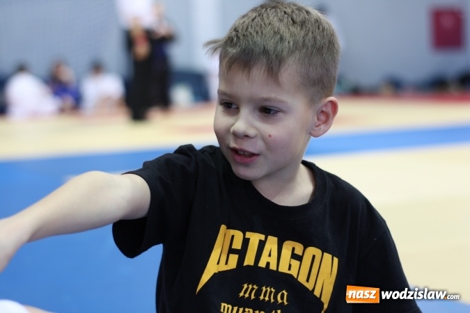 Zdjęcie w galerii na portalu naszwodzislaw.com: Dzieci z Octagon Team wracają z medalami  wiadomości z regionu