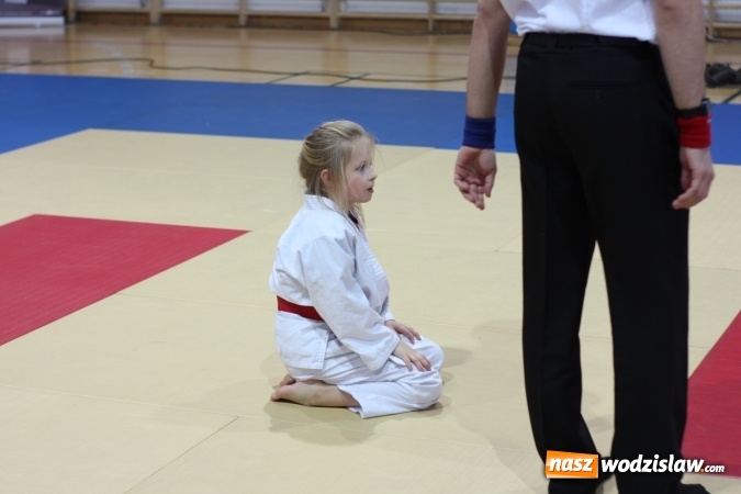 Zdjęcie w galerii na portalu naszwodzislaw.com: Dzieci z Octagon Team wracają z medalami  wiadomości z regionu