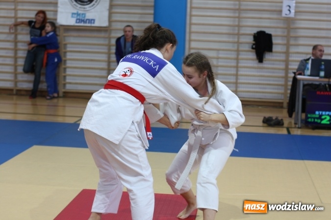 Zdjęcie w galerii na portalu naszwodzislaw.com: Dzieci z Octagon Team wracają z medalami  wiadomości z regionu