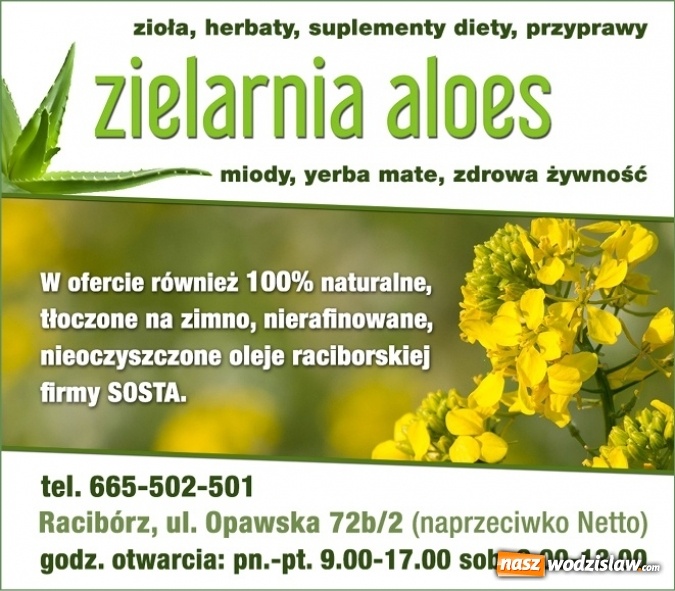 Zdjęcie w galerii na portalu naszwodzislaw.com: Poczuj z nami magię świąt - przygotowania czas zacząć! wiadomości z regionu