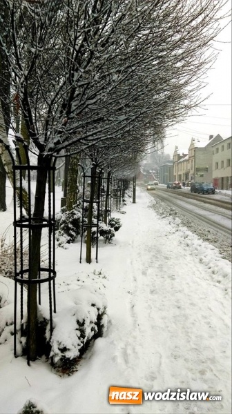 Zdjęcie w galerii na portalu naszwodzislaw.com: Świąteczna atmosfera na rydułtowskim rynku wiadomości z regionu