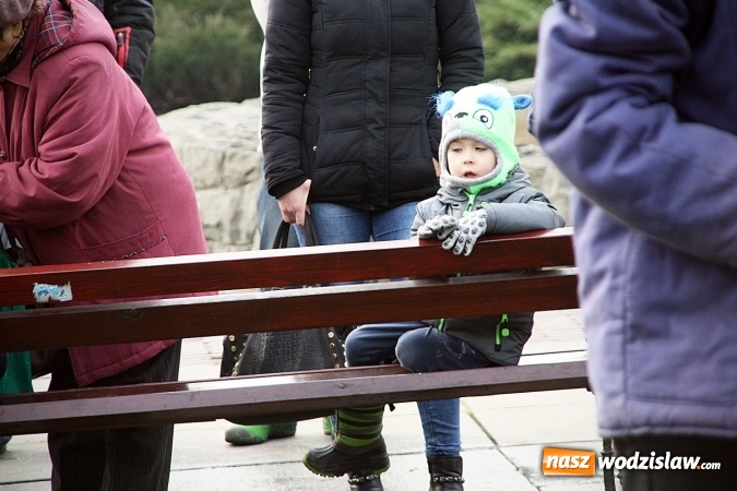 Zdjęcie w galerii na portalu naszwodzislaw.com: Niecodzienny pokaz na wodzisławskim Rynku, czyli jak palić w piecu, aby było tanio i ekologicznie wiadomości z regionu