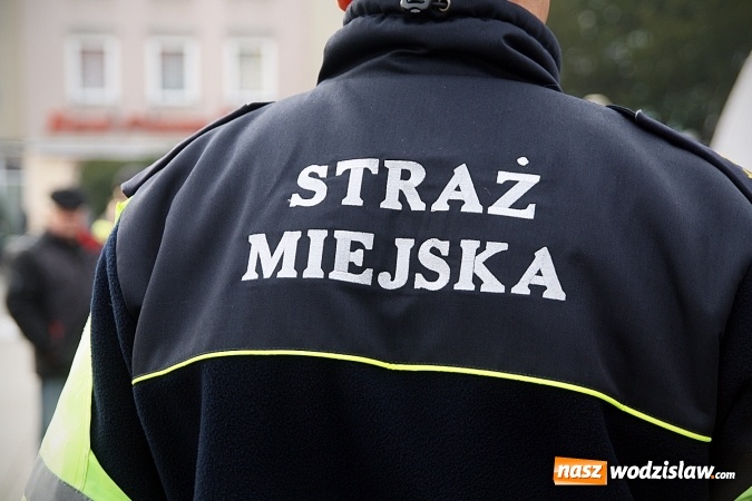 Zdjęcie w galerii na portalu naszwodzislaw.com: Niecodzienny pokaz na wodzisławskim Rynku, czyli jak palić w piecu, aby było tanio i ekologicznie wiadomości z regionu