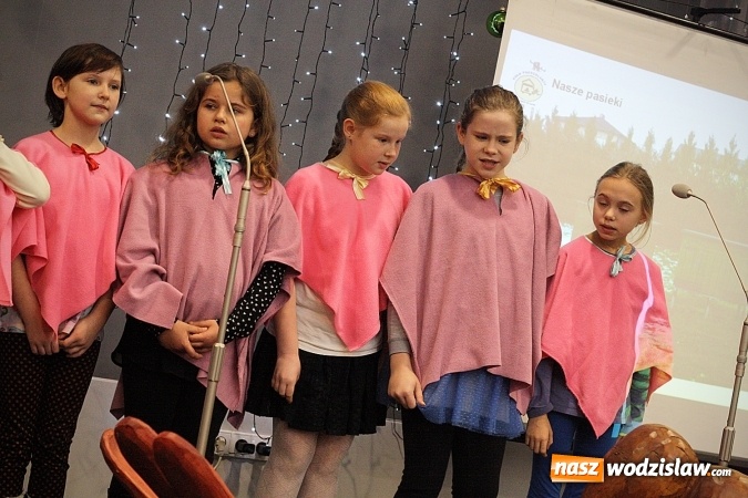 Zdjęcie w galerii na portalu naszwodzislaw.com: I Gorzycki Jarmark Pszczeli. FOTORELACJA wiadomości z regionu