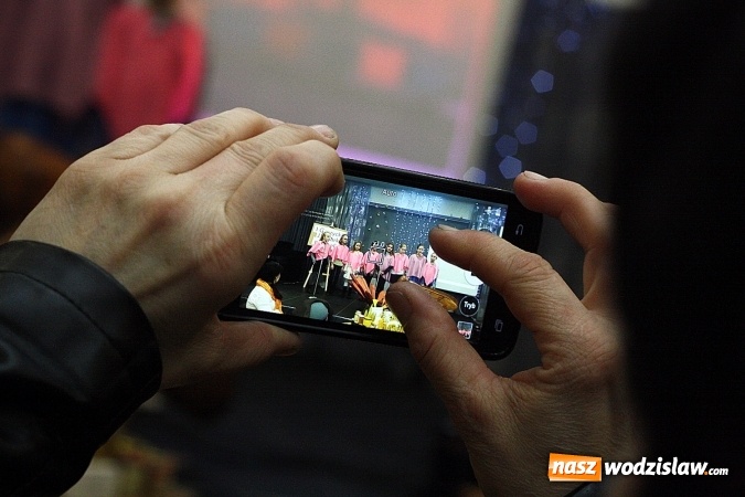 Zdjęcie w galerii na portalu naszwodzislaw.com: I Gorzycki Jarmark Pszczeli. FOTORELACJA wiadomości z regionu