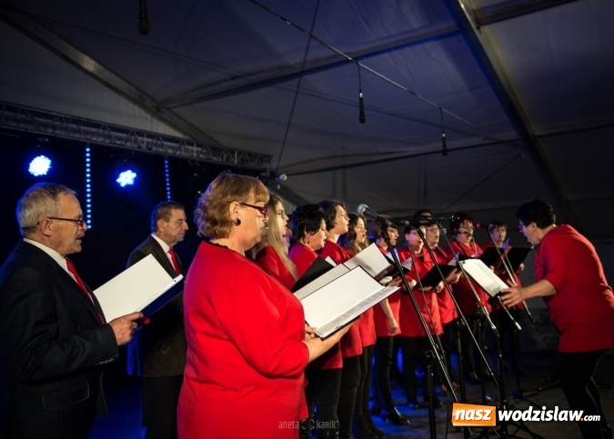 Zdjęcie w galerii na portalu naszwodzislaw.com: Połomia: To był festiwal pełen dobrej muzyki teatru i niespodzianek wiadomości z regionu