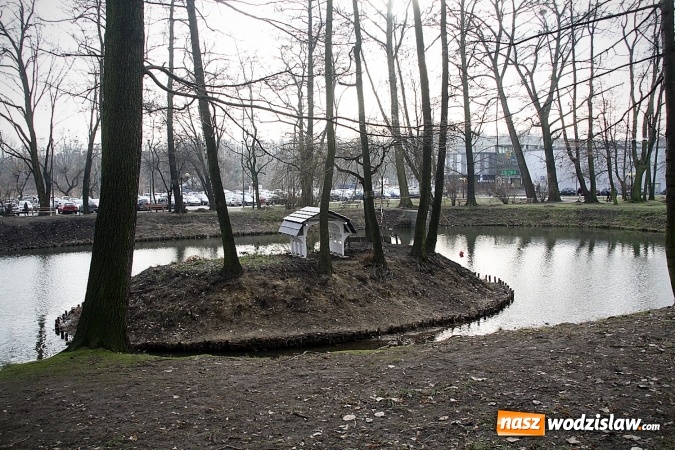 Zdjęcie w galerii na portalu naszwodzislaw.com: Wodzisław: Zobacz jak zmienił się Park Miejski wiadomości z regionu