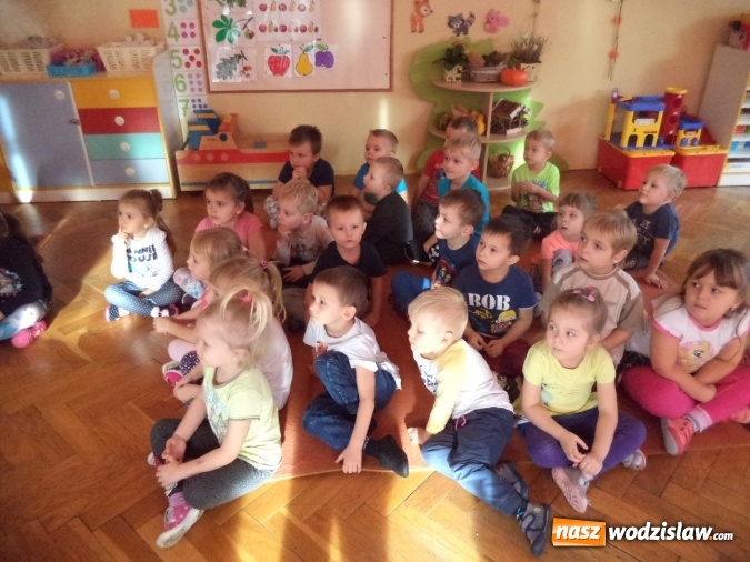 Zdjęcie w galerii na portalu naszwodzislaw.com: Pszów: Przedszkole numer 2 i ZSP we wspólnym projekcie  wiadomości z regionu