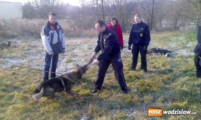 Zdjęcie w galerii na portalu naszwodzislaw.com: Jak wyłapywać bezdomne zwierzęta? Strażnicy miejscy po szkoleniu  wiadomości z regionu